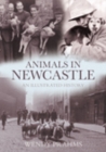 Animals In Newcastle : An Illustrated History - Book