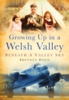 Growing Up in a Welsh Valley: Beneath a Valley Sky - eBook