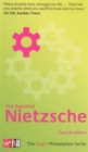 Virgin Philosphers: Nietzsche - Book