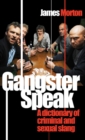 Gangster Speak : A Dictionary of Criminal and Sexual Slang - Book