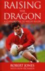 Raising The Dragon : A Clarion Call To Welsh Rugby - eBook