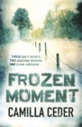 Frozen Moment : 'A good psychological crime novel that will appeal to fans of Wallander and Stieg Larsson' CHOICE - Book