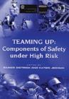 Teaming Up: Components of Safety under High Risk - Book