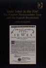 'Gold Tried in the Fire'. The Prophet TheaurauJohn Tany and the English Revolution - Book