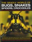 The Deadly World of Bugs, Snakes, Spiders, Crocodiles and Hundreds of Other Amazing Reptiles and Insects : Discover the Amazing World of Reptiles and Bugs, Featuring More Than 1500 Fabulous Wildlife P - Book