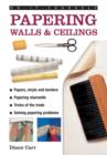 Do-it-yourself Papering Walls & Ceilings : A Practical Guide to All You Need to Know About Papering Techniques Throughout the Home - Book
