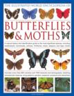 The Illustrated World Encyclopaedia of Butterflies and Moths : A Natural History and Identification Guide to Rare and Familiar Species - Book