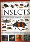 The Illustrated World Encyclopaedia of Insects : A Natural History and Identification Guide to Beetles, Flies, Bees Wasps, Springtails, Mayflies, Stoneflies, Dragonflies, Damselflies, Cockroaches, Man - Book