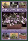 Window Boxes : How to Create Stunning Window Displays to Enjoy Throughout the Year - Book
