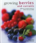Growing Berries and Currants : A Directory of Varieties and How to Cultivate Them Successfully - Book
