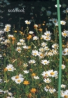 Notebook (Field of Daisies) - Book