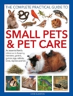 Small Pets and Pet Care, The Complete Practical Guide to : An essential family reference to keeping hamsters, gerbils, guinea pigs, rabbits, birds, reptiles and fish - Book