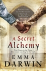 A Secret Alchemy - Book