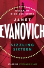Sizzling Sixteen : A hot and hilarious crime adventure - Book