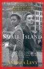 Small Island - eBook