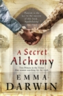 A Secret Alchemy - eBook