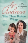 Take these Broken Wings : Can she escape her tragic past? - eBook