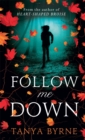 Follow Me Down - eBook