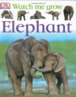 ELEPHANT - Book
