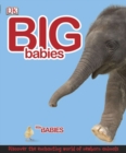 Big Babies, Little Babies - Book