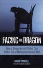 Facing the Dragon : How a Desperate Act Pulled One Addict Out of Methamphetamine Hell - Book