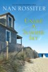 Under a Summer Sky - eBook