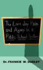 The Love, Joy, Pain, and Agony in a Public School System - Book