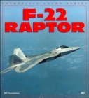 F-22 Raptor - Book