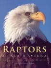 Raptors of North America : Natural History and Conservation - Book