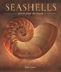 Seashells : Jewels from the Ocean - Book
