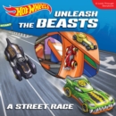 Hot Wheels Unleash the Beasts: A Street Race : A Look-Through Storybook - Book