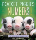 Pocket Piggies Numbers! : Featuring the Teacup Pigs of Pennywell Farm - Book
