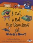 A Cat, a Bat, Your Grandma's Hat : What is a Noun? - Book