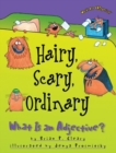 Hairy Scary Ordinary : What is an Adjective ? - Book