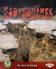 Earthquakes - Book