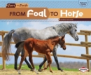 From Foal to Horse - eBook