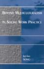 Beyond Multiculturalism in Social Work Practice - Book