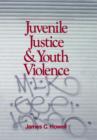 Juvenile Justice and Youth Violence - Book