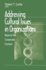 Addressing Cultural Issues in Organizations : Beyond the Corporate Context - Book