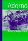 Adorno, Culture and Feminism - Book