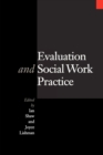 Evaluation and Social Work Practice - Book