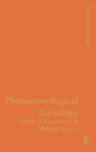 Phenomenological Sociology : Experience and Insight in Modern Society - Book