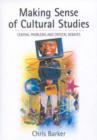 Making Sense of Cultural Studies : Central Problems and Critical Debates - Book