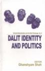 Dalit Identity and Politics - Book