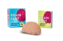 Brain Fart : A Stress Ball for Mental Recall - Book