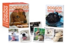Doggos Doing Things Magnets - Book