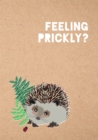 Feeling Prickly Journal - Book