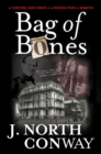 Bag of Bones : The Sensational Grave Robbery of the Merchant Prince of Manhattan - Book