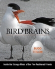 Bird Brains : Inside The Strange Minds Of Our Fine Feathered Friends - Book