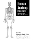Human Anatomy Flash Cards: Skeletal And Muscular Systems - Book